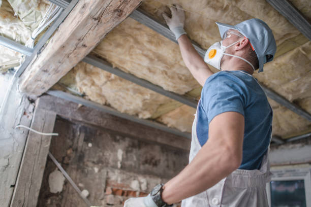 Best Spray Foam Insulation  in Mayer, MN