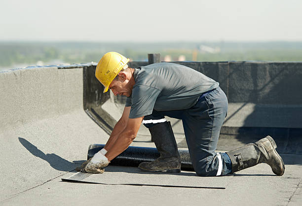 Best Basement Insulation  in Mayer, MN