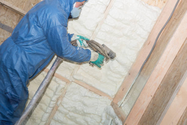 Best Insulation Air Sealing  in Mayer, MN